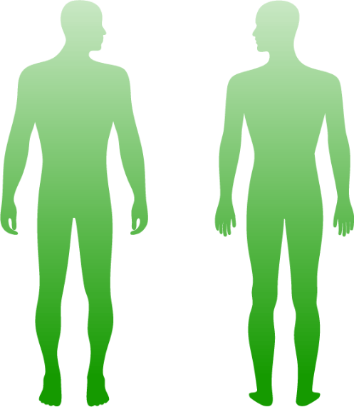 Human body diagram showing common workforce injury sites